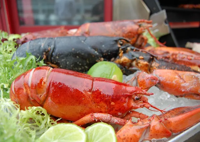 Restaurant & Casino De Nachtegaal لِسِه